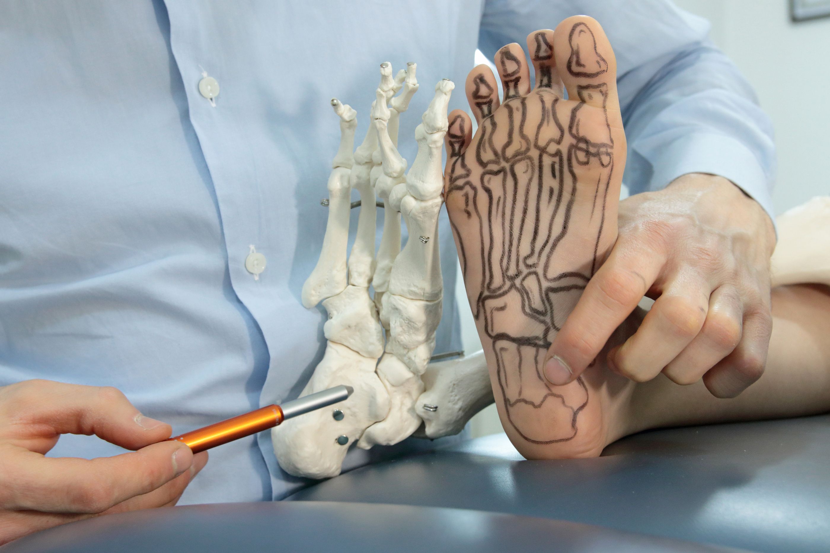 Anatomía del pie (bigstock)