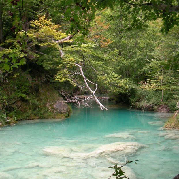 Nacimiento del Río Urederra (Wikipedia) Nacimiento del Río Urederra (Wikipedia)