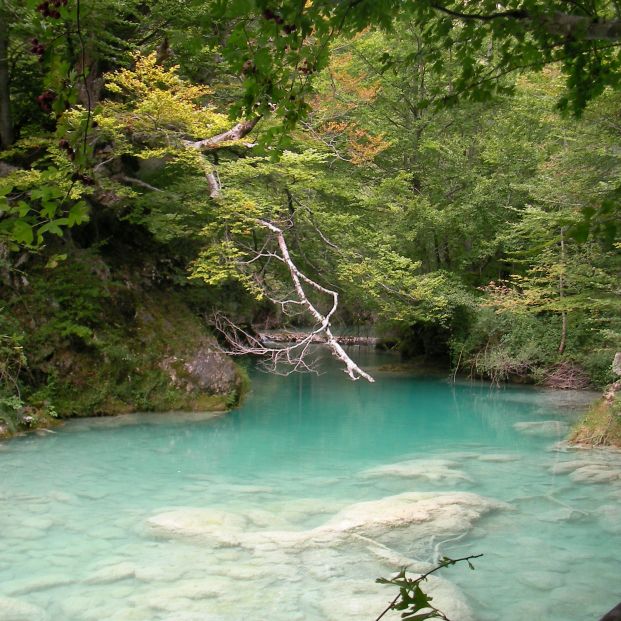 Nacimiento del Río Urederra (Wikipedia)