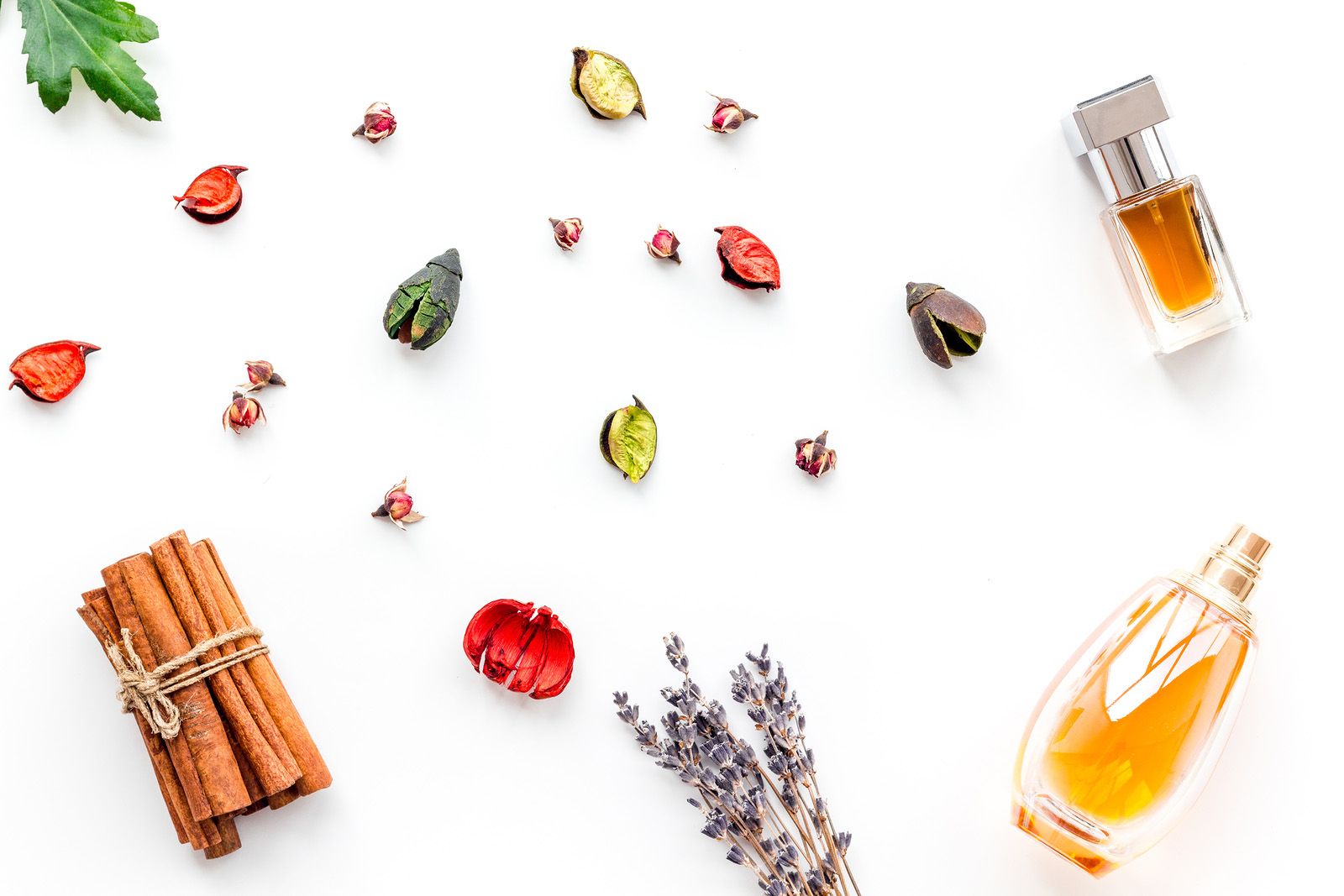 Conoce las 7 familias olfativas de los perfumes y elige tu aroma ideal (Bigstock)