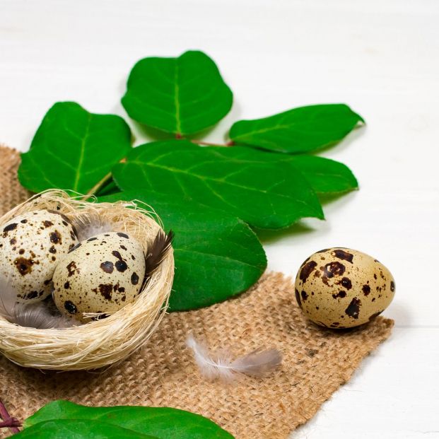 Trucos para pelar huevos de codorniz con facilidad Foto: bigstock. huevos de codorniz Trucos para pelar huevos de codorniz con facilidad Foto: bigstock. huevos de codorniz