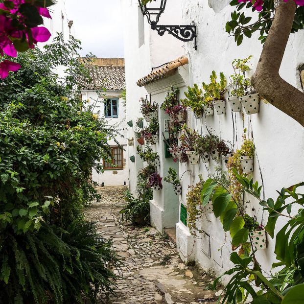 Un día en Castellar de la Frontera Foto: bigstock