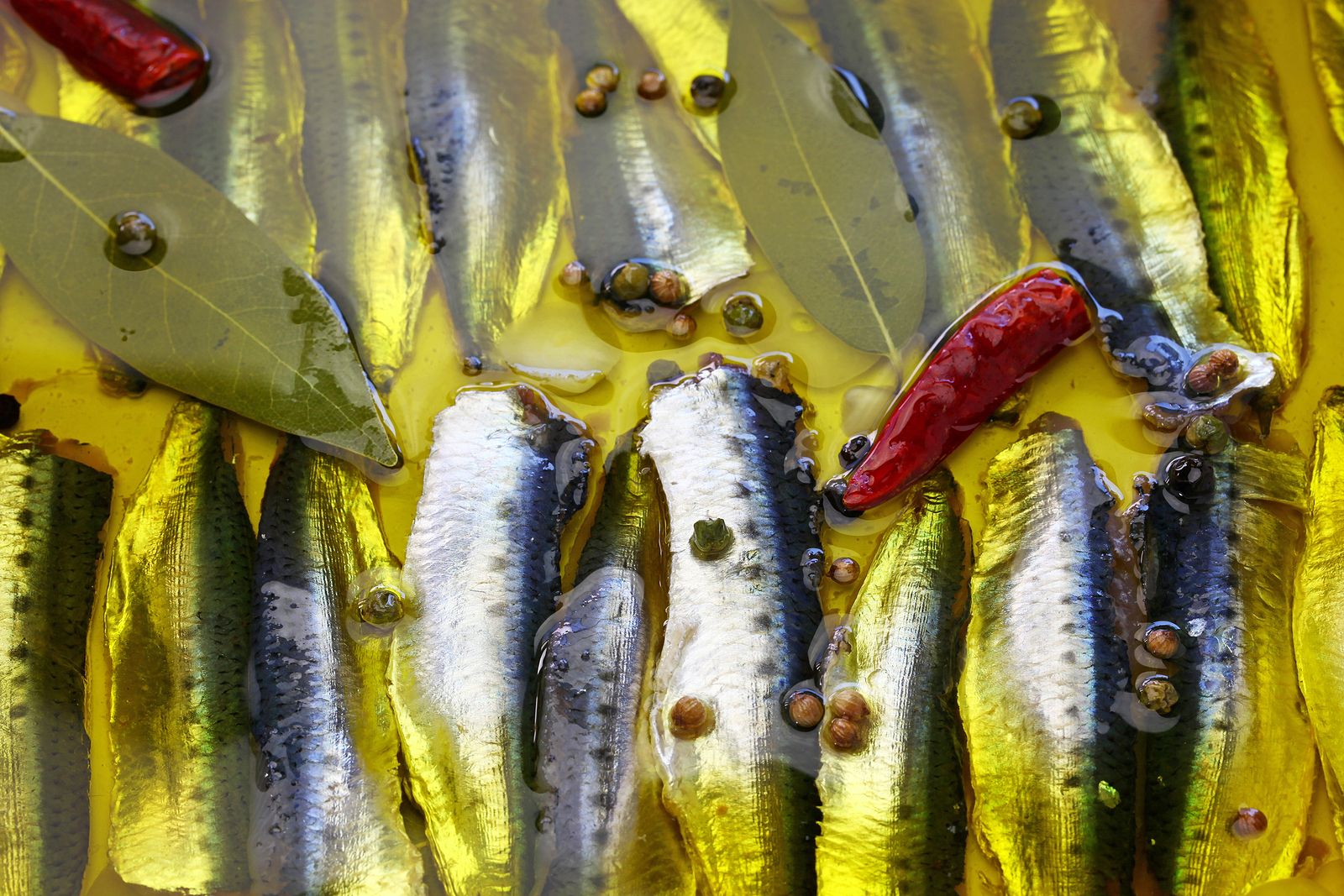 Aprende a preparar boquerones en vinagre en tan solo 5 pasos