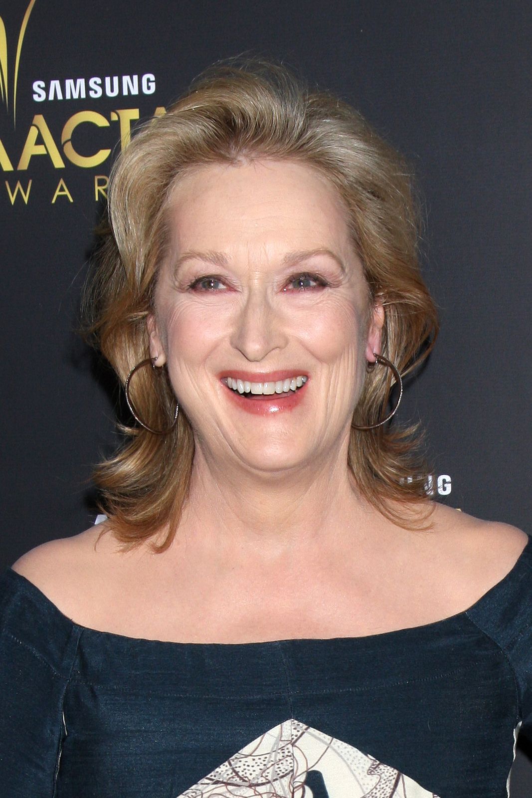 Meryl Streep cumple 72 años, así es la vida de la gran dama de Hollywood. Foto: bigstock 