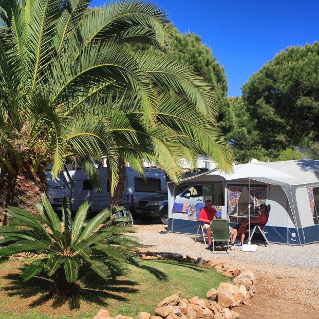 Los 5 mejores campings de nuestro país Foto: Camping Cabopino