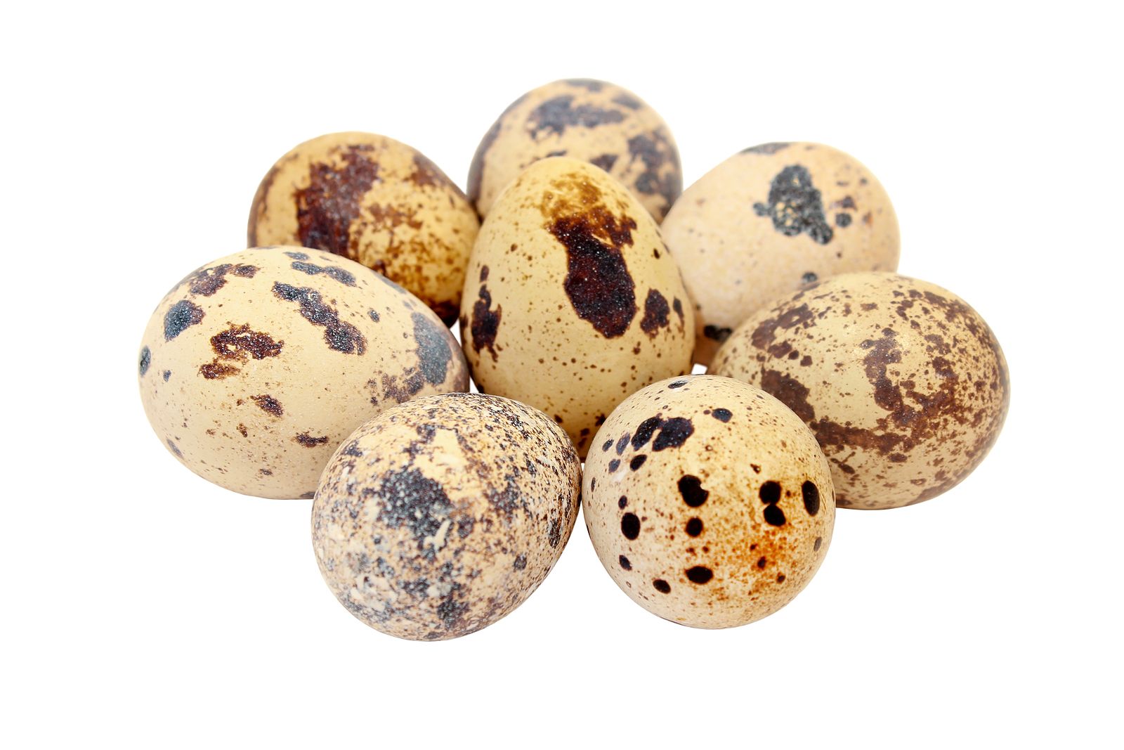 Toma nota de estas recetas con huevos de codorniz. Foto: bigstock 