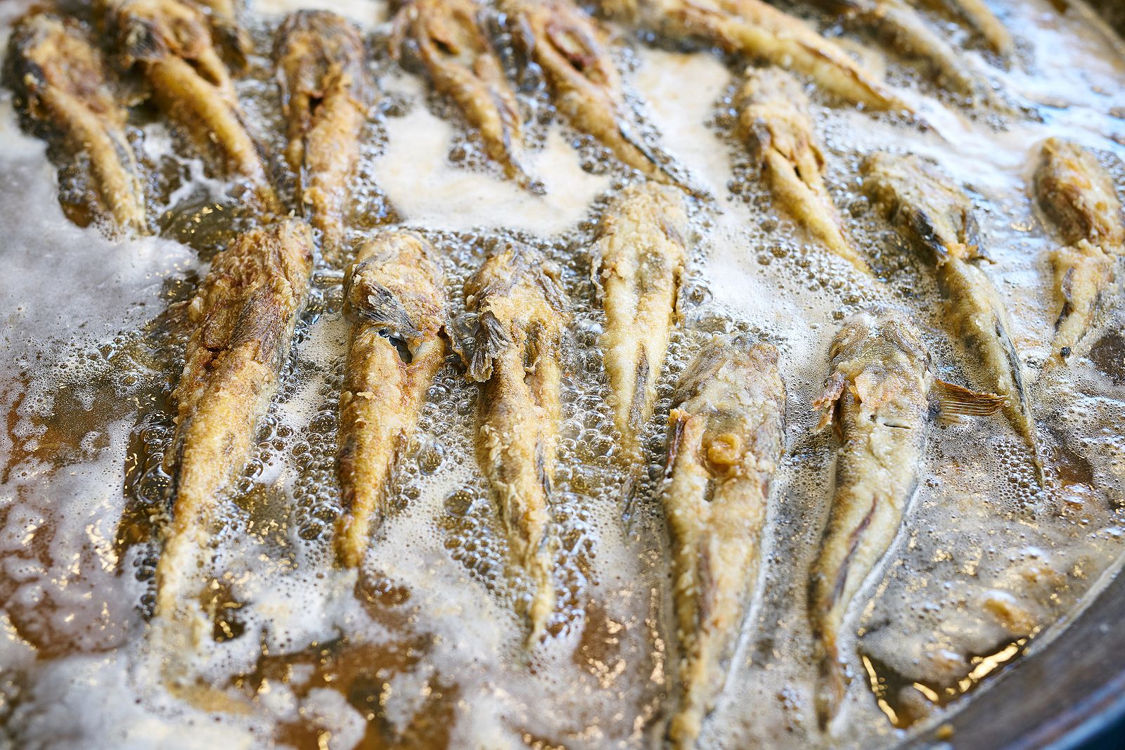 5 errores comunes al freír pescado Foto: bigstock