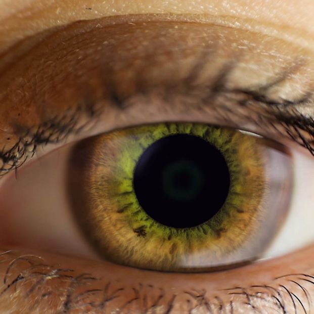 Melanoma ocular: Ojo humano (bigstock)