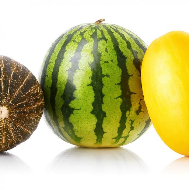 Cuanto Tarda En Germinar El Melon