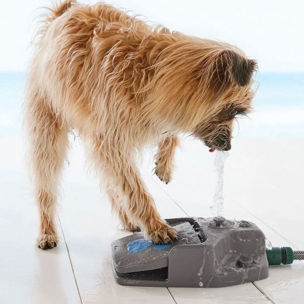 Protege a tu perro del calor con estos sorprendentes utensilios de Lidl (Foto-Lidl)
