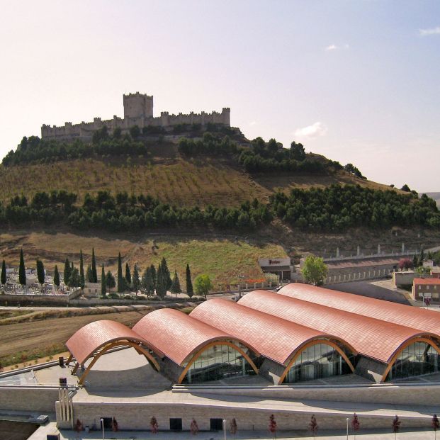 Bodegas Protos (Protos)