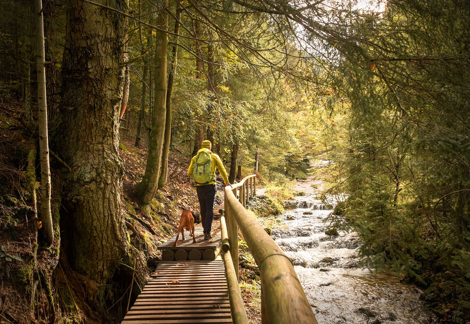 Alarga tu vida con solo 1.000 pasos al día Foto: bigstock