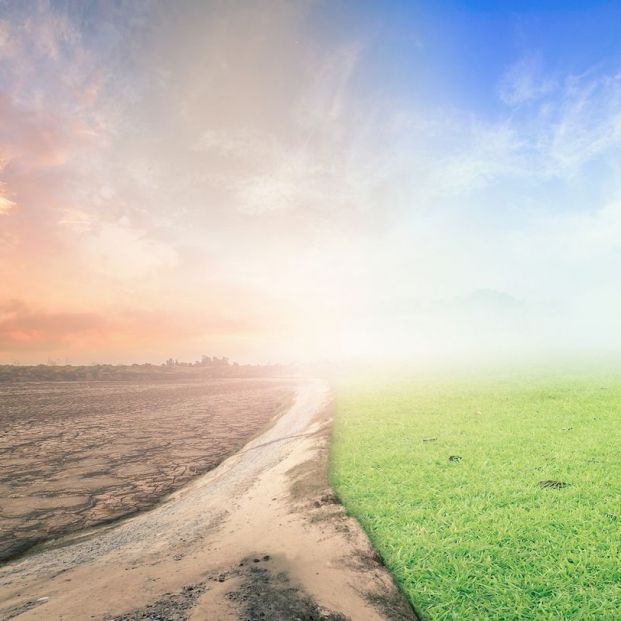 Consecuencias del cambio climático