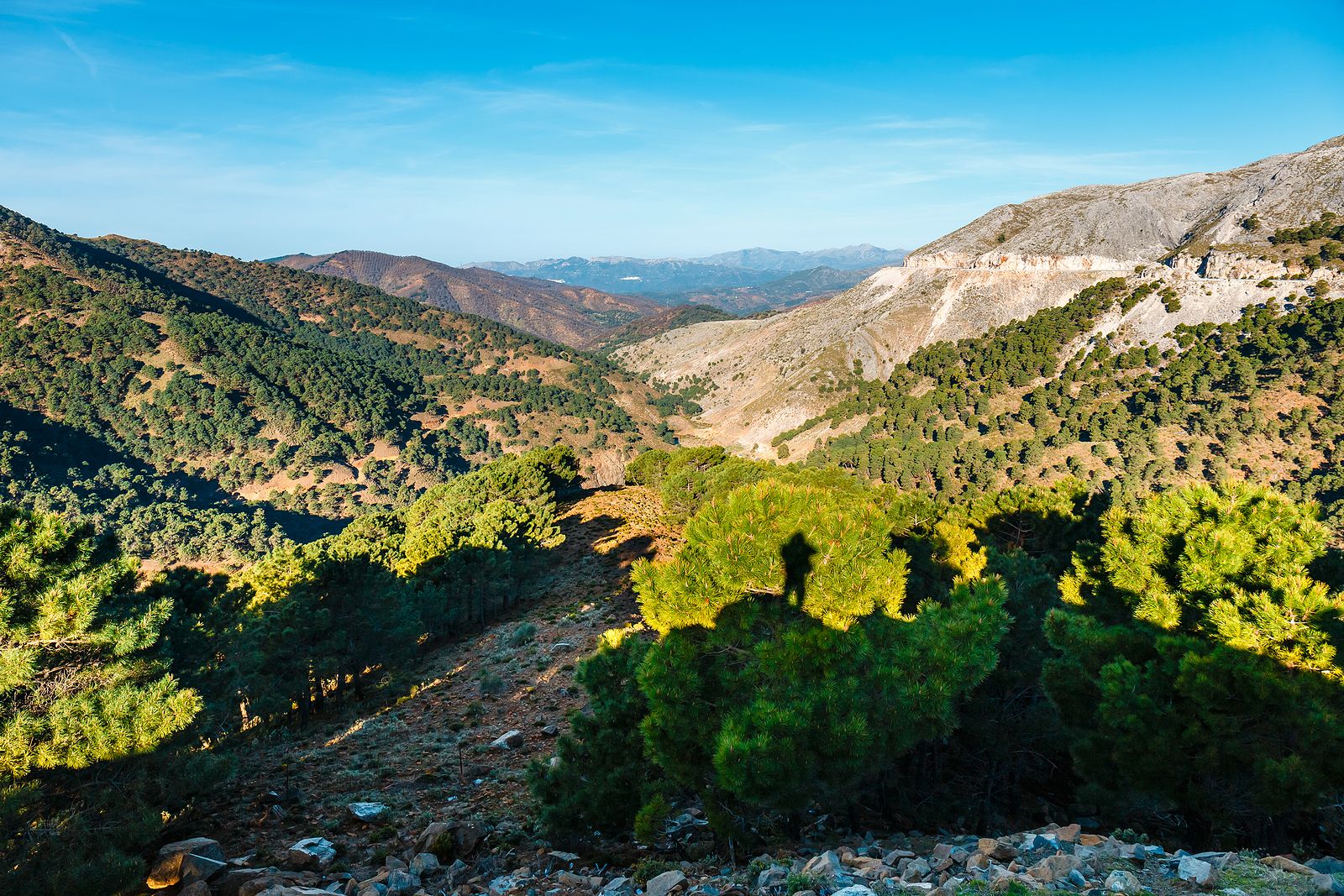 Conocemos la Sierra de las Nieves, nuevo parque nacional en Málaga. Foto: bigstock 