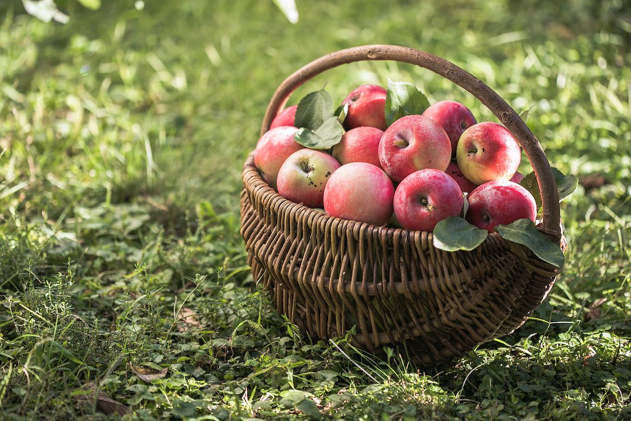 5 frutas de temporada que te ayudarán a adelgazar este verano