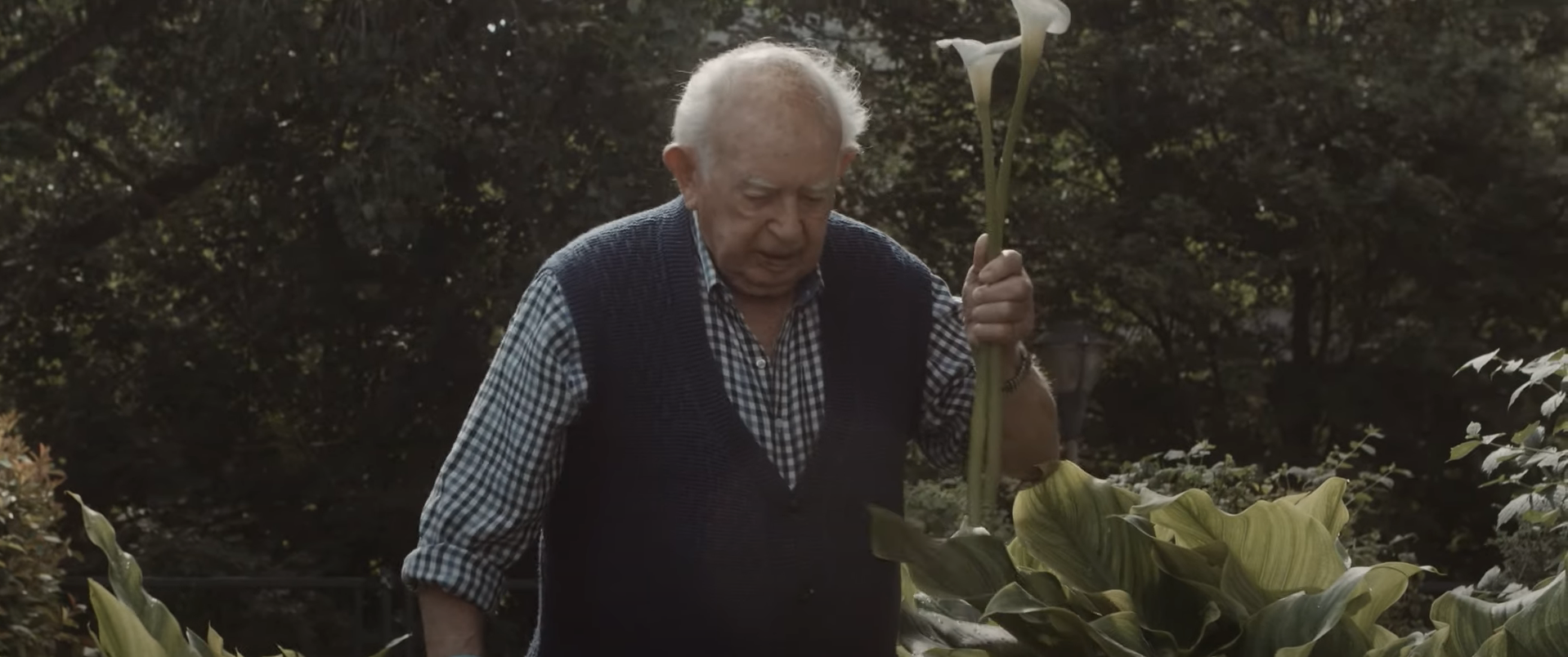 'La flor de Claudia' o como José da sentido a su vida en la residencia San Jerónimo