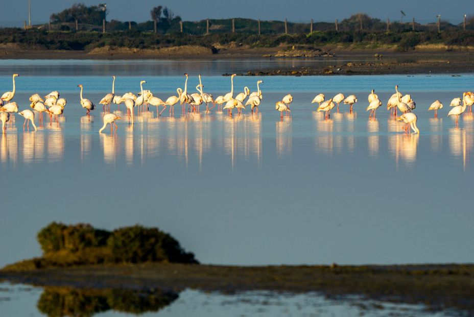 Estos son los parques naturales más bonitos de España: Bahía de Cádiz