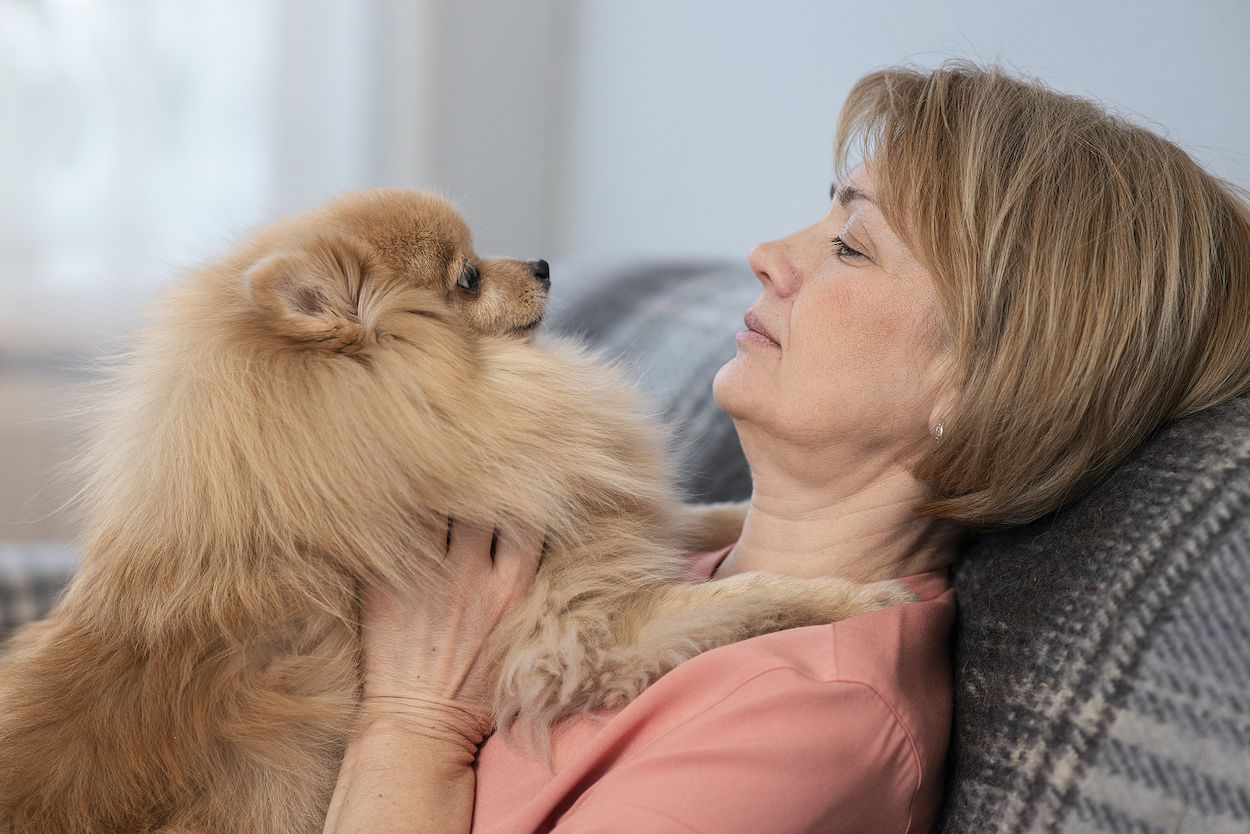 Tener mascotas previene y ayuda a paliar el deterioro cognitivo