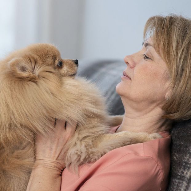 bigstock Mascotas que calman el estrés