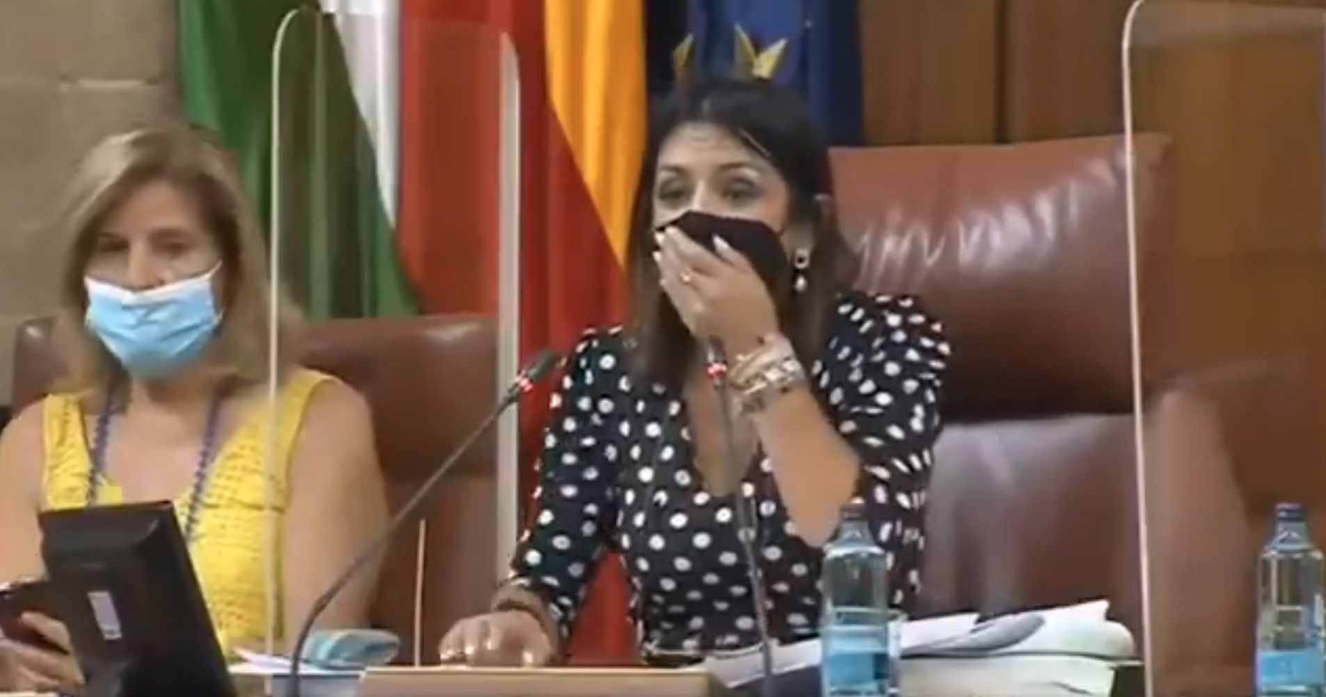 VÍDEO: Una rata se cuela en el Parlamento andaluz y desata el pánico entre los políticos