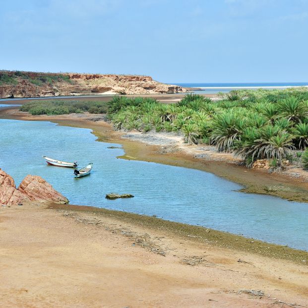 Socotra (bigstock)