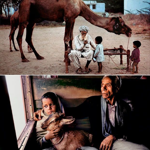 Las mejores fotos de abuelos de Steve McCurry