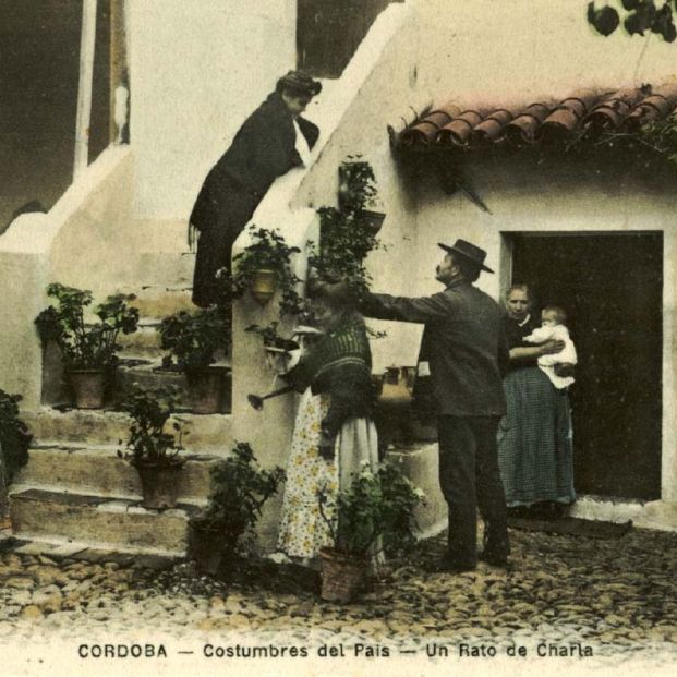 Patios de Córdoba tradicionales (patios.cordoba.es)