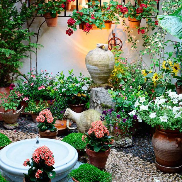 Así es un patio cordobés (bigstock) Así es un patio cordobés (bigstock)