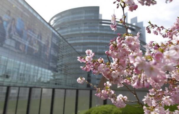 Una mujer gitana demanda a España en el Tribunal de Estrasburgo por denegarle la pensión de viudedad. Foto: Europa Press