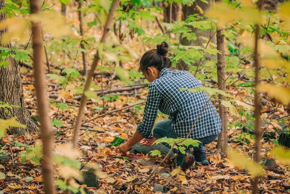 Las verduras que comían nuestras abuelas y que hoy hemos olvidado