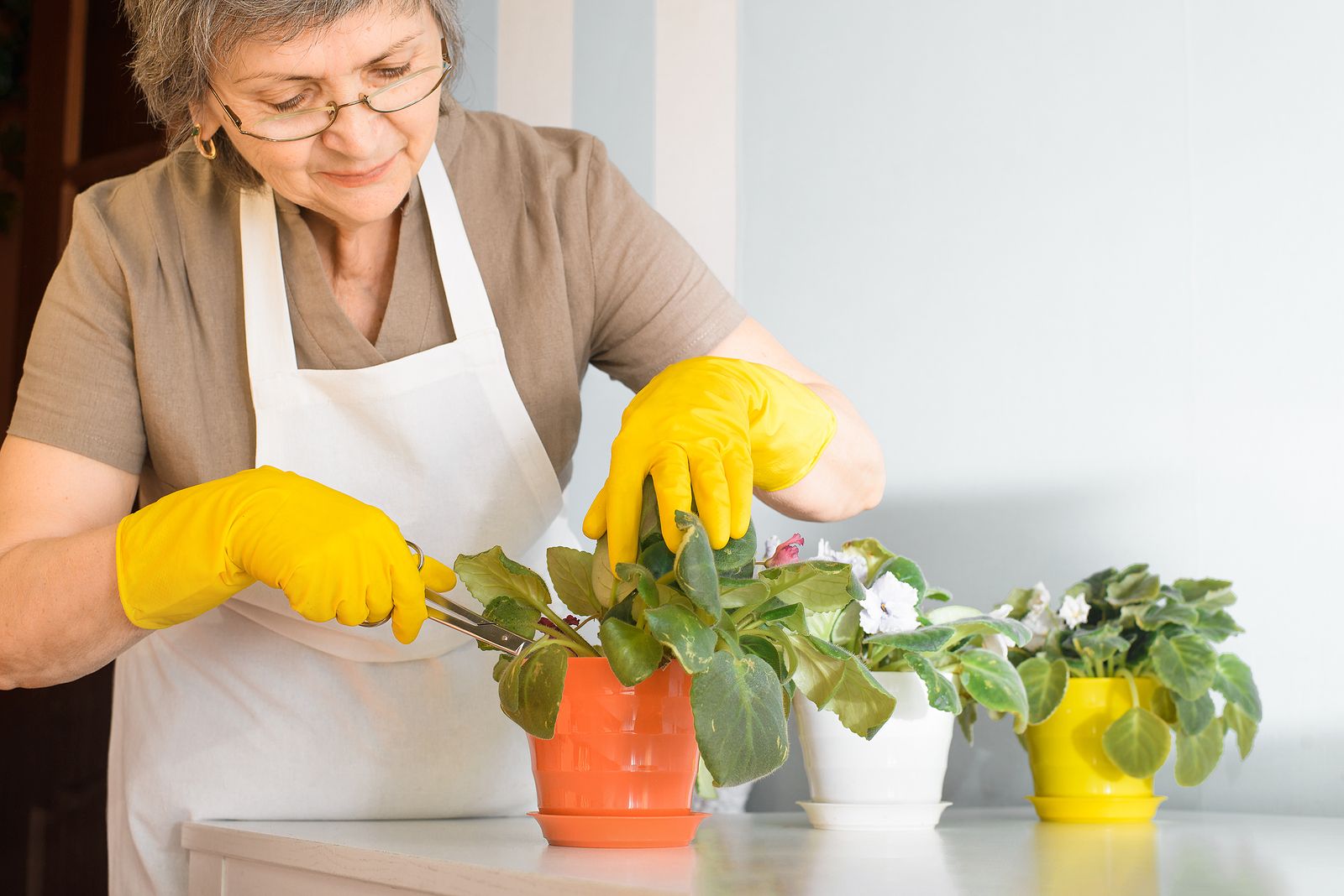 Cortar los tallos de las plantas les produce estrés