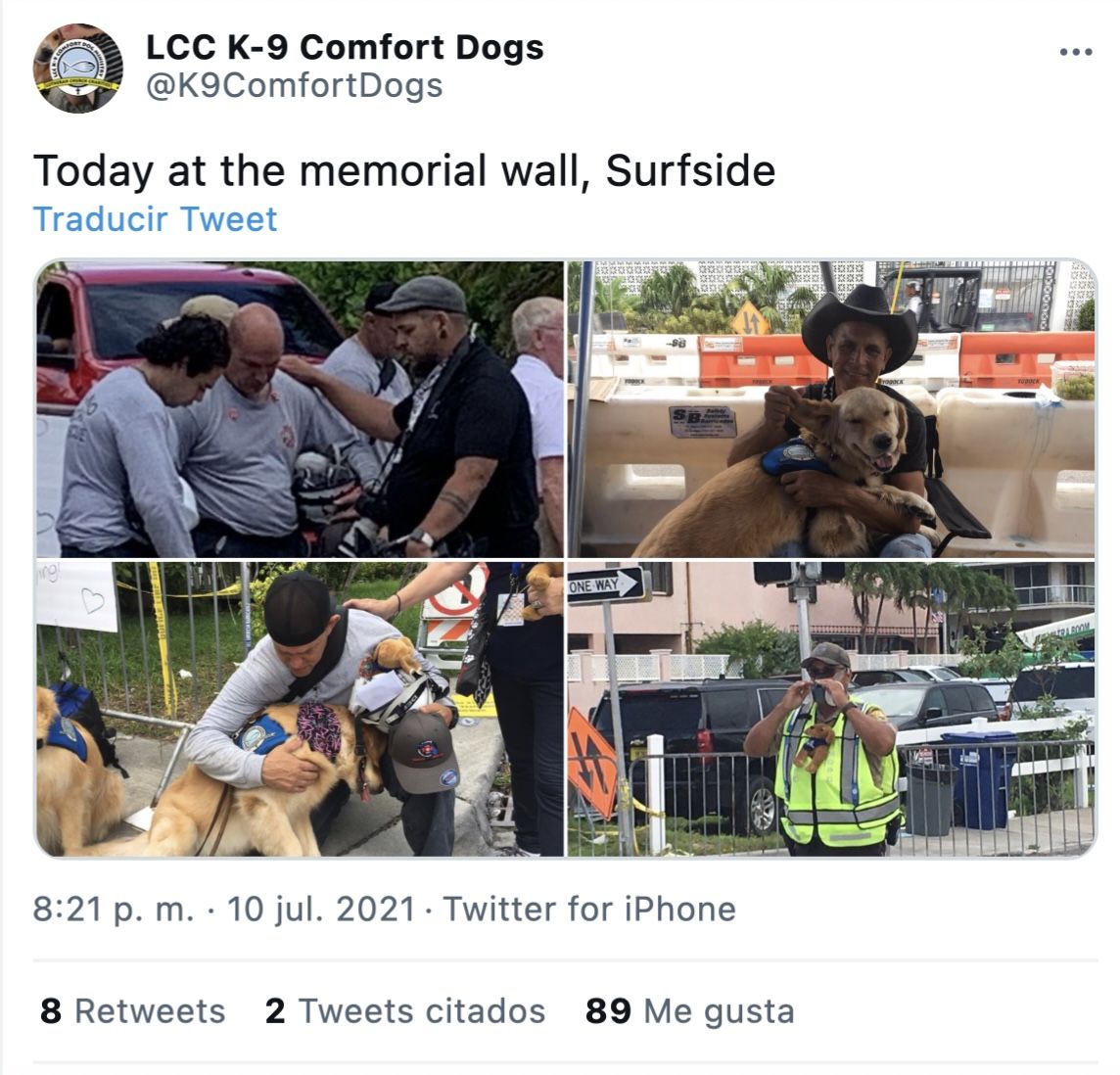 Comfort dogs en el derrumbamiento de Miami (Foto: Twitter)
