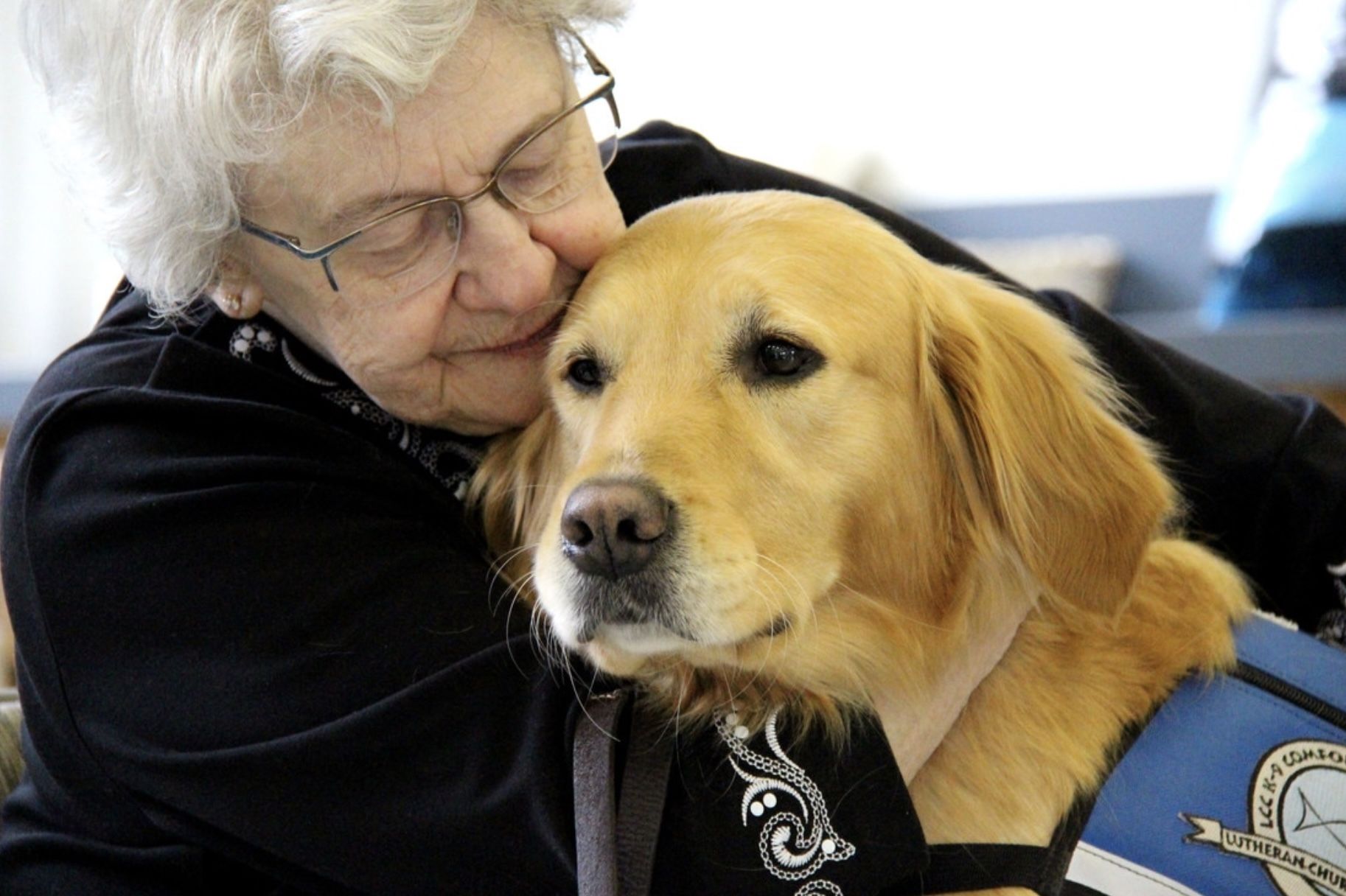 'Comfort dogs', perros entrenados para dar apoyo emocional en las situaciones de crisis (Foto: LCC K-9 Comfort Dog Ministry)