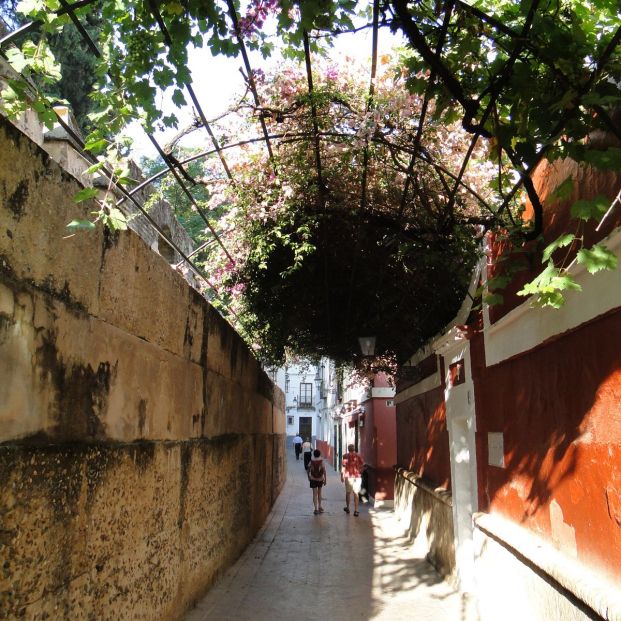 Calle del Agua en Sevilla