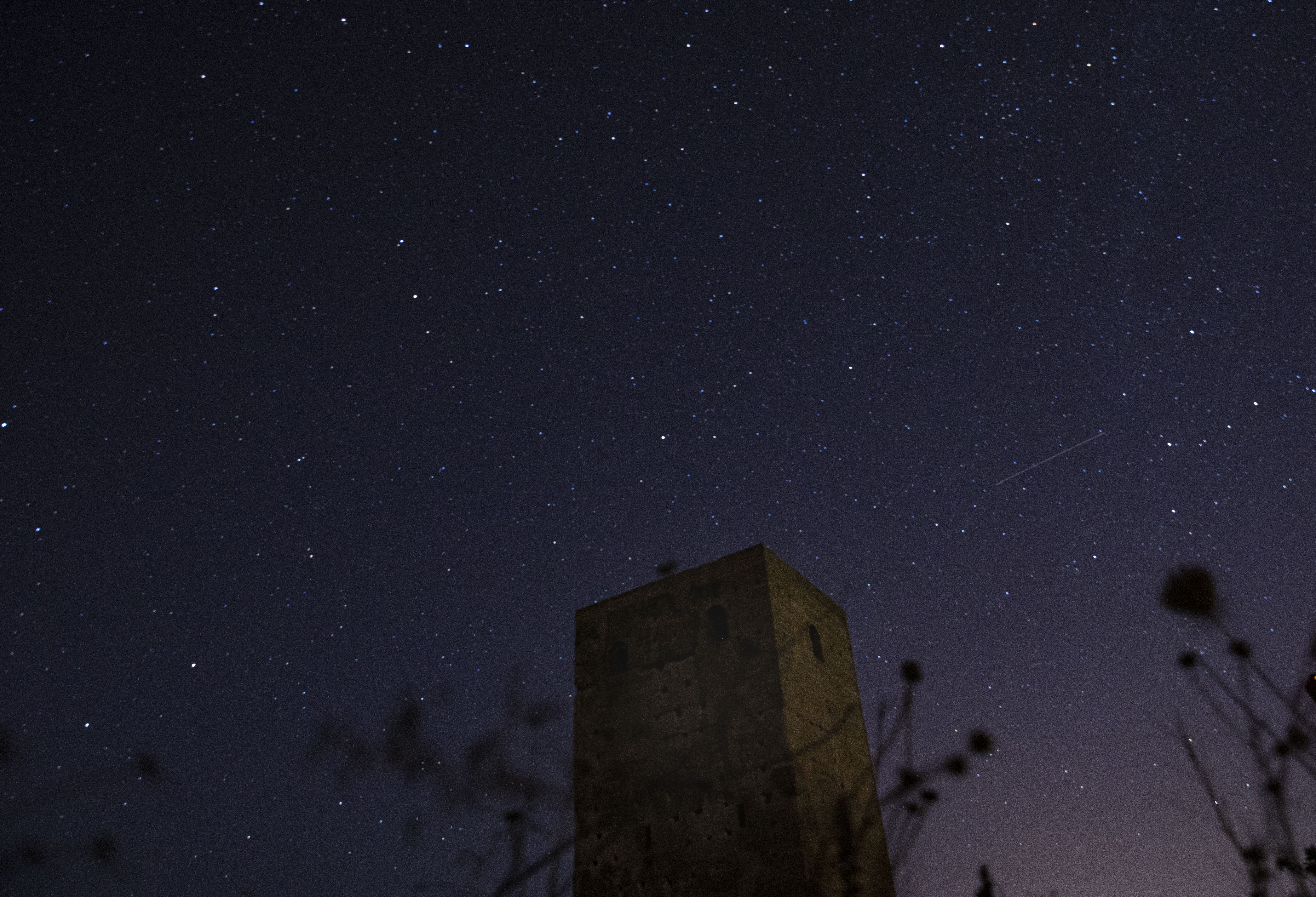 Este 2021 será "excelente" para observar las Perseidas: cómo y cuándo hacerlo. Foto: Europa Press