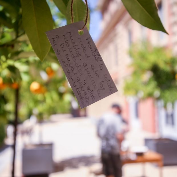 'Wish Tree’, el proyecto interactivo de Yoko Ono para anudar deseos en ramas de naranjos. Foto: Europa Press