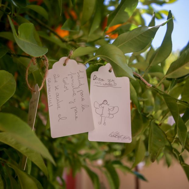 'Wish Tree’, el proyecto interactivo de Yoko Ono para anudar deseos en ramas de naranjos. Foto: Europa Press