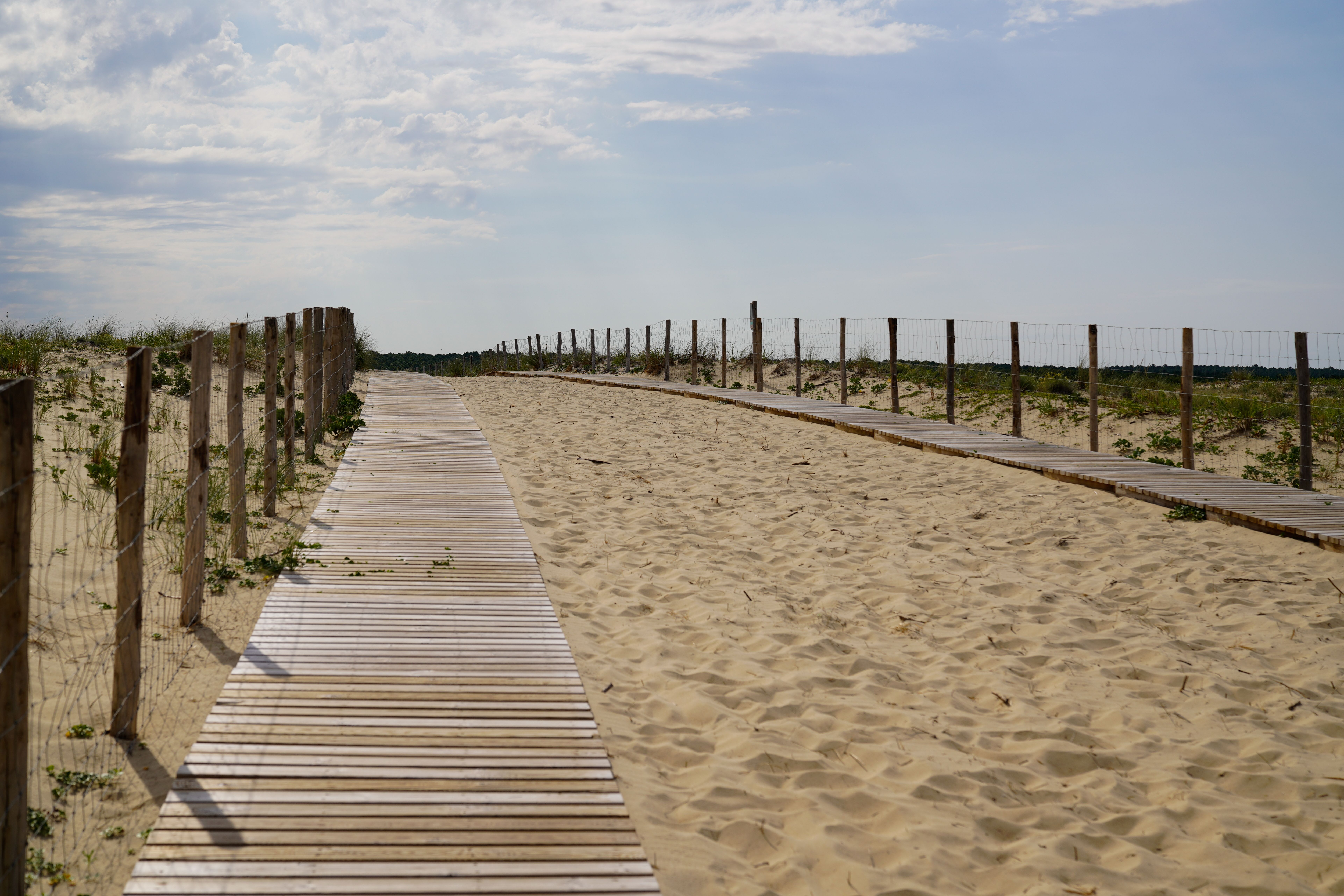 El tierno gesto de un hijo para que su madre en silla de ruedas pudiera acercarse al mar7