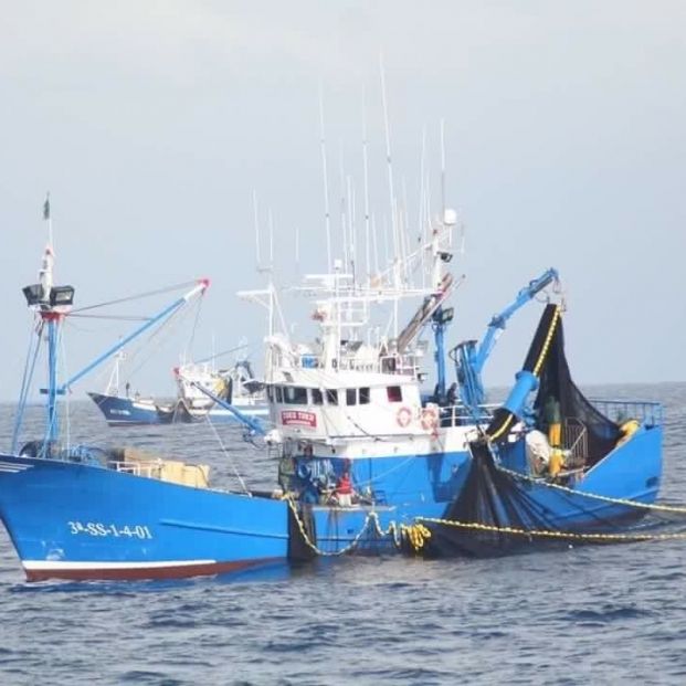 Sardinas y arenques, en peligro de extinción por el cambio climático. Foto: Europa press