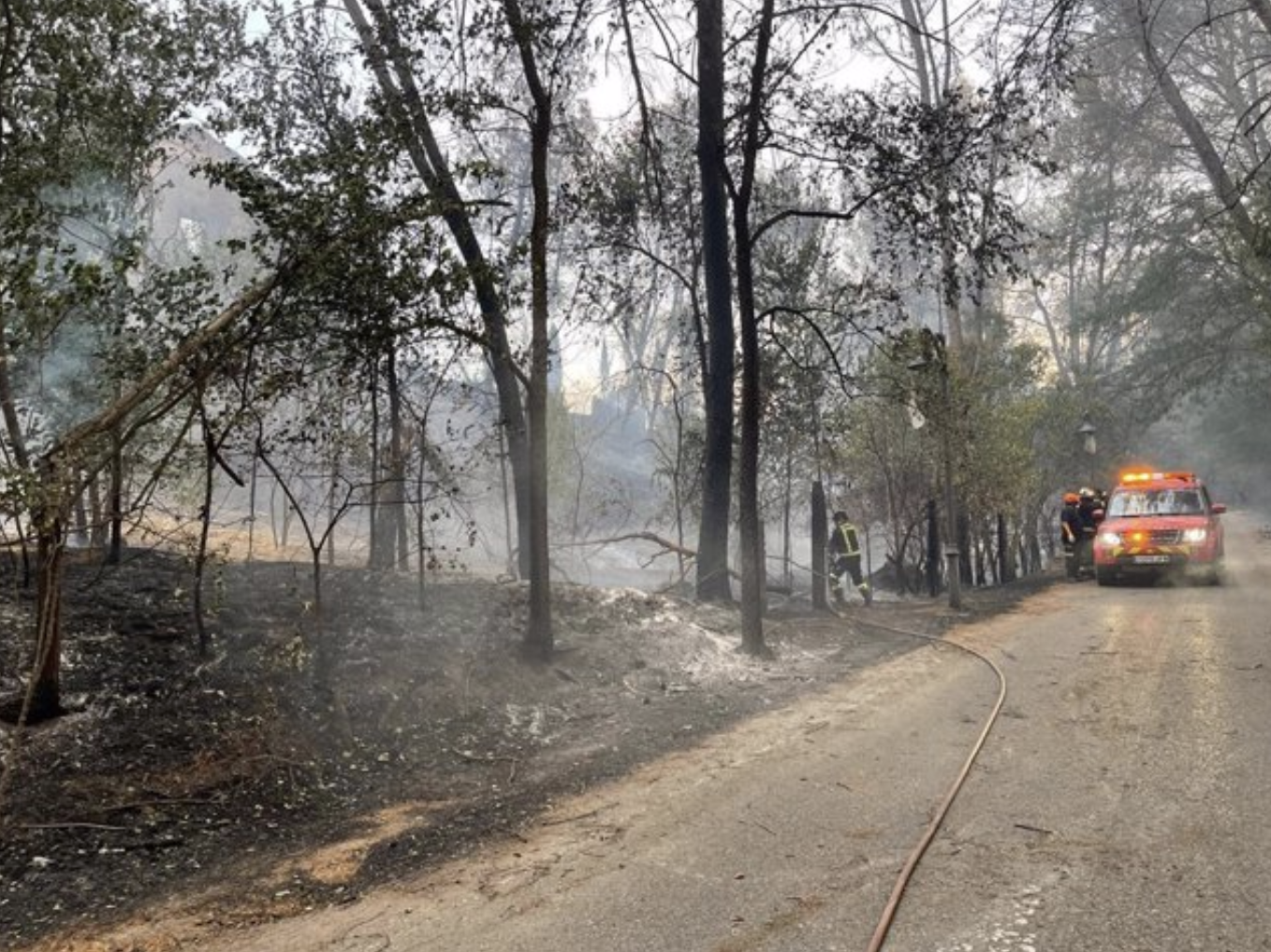 Guardia Civil abre investigación del origen del incendio de Batres como intencionado o imprudente. Foto: Europa Press