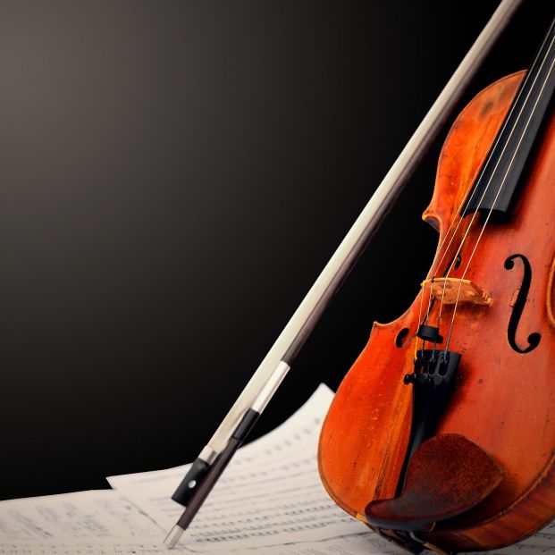 bigstock Musical instrument  violin an 14201675