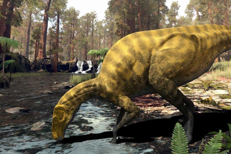 Descubren huellas fósiles de de dinosaurio en Burgos y se las dedican a Andrés Iniesta. Foto: Descarga de pantalla Descubren huellas fósiles de de dinosaurio en Burgos y se las dedican a Andrés Iniesta. Foto: Descarga de pantalla