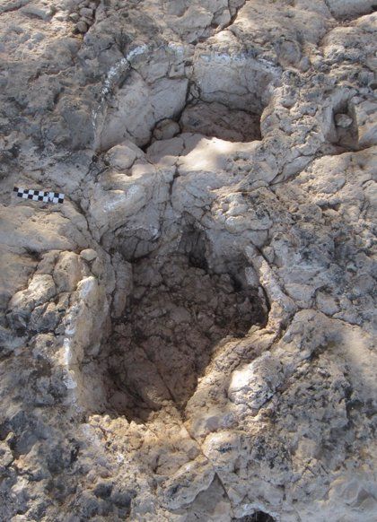Descubren huellas fósiles de de dinosaurio en Burgos y se las dedican a Andrés Iniesta. Foto: Europa Press