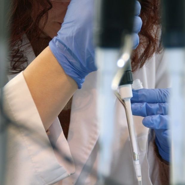 Investigadores españoles estudian la aplicación de nanopartículas contra el cáncer de páncreas