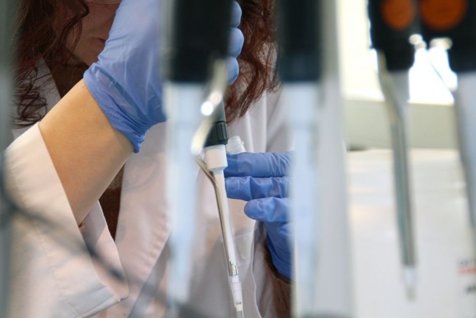 Investigadores españoles estudian la aplicación de nanopartículas contra el cáncer de páncreas