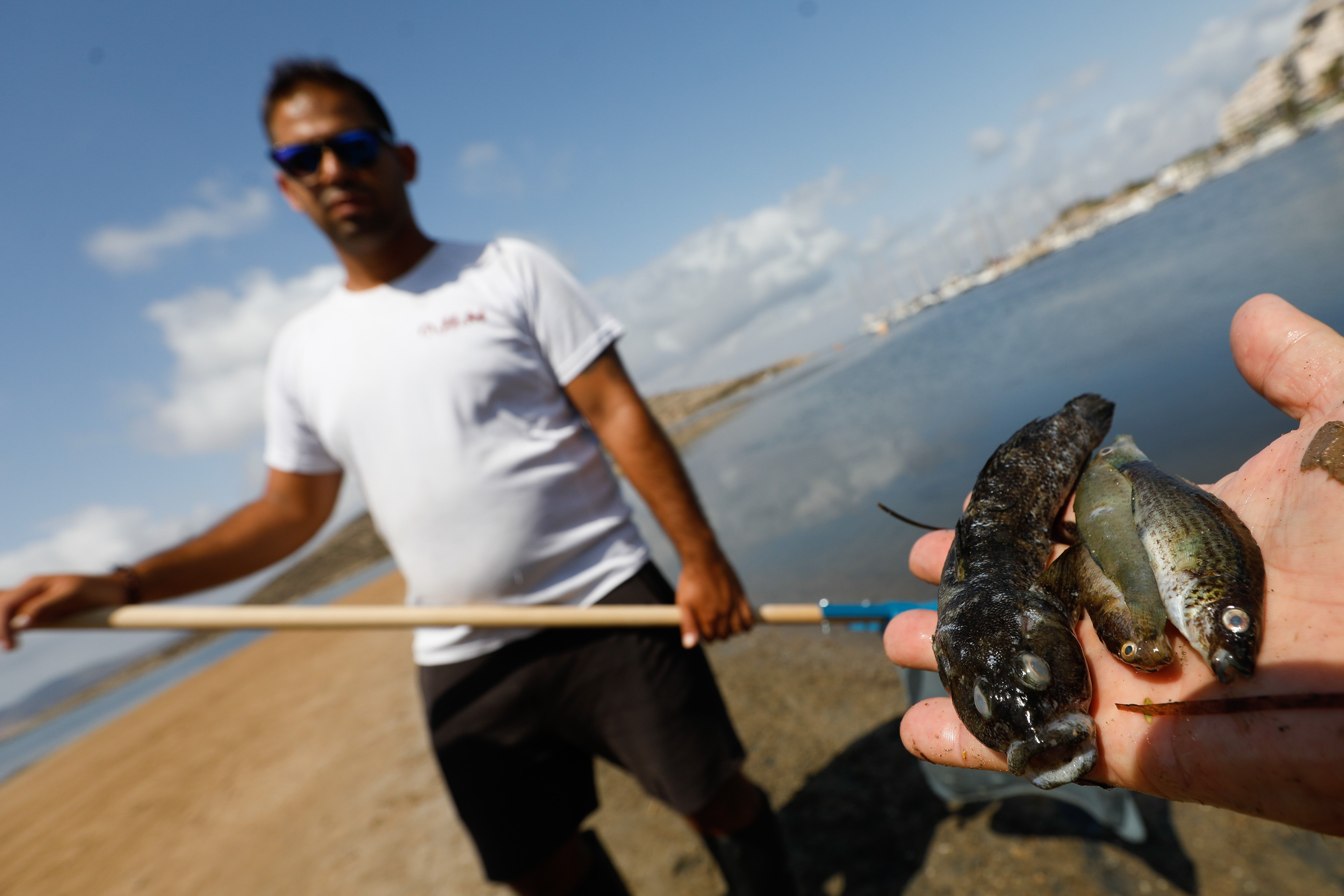 Los geógrafos piden al Gobierno que tome medidas valientes para salvar el Mar Menor