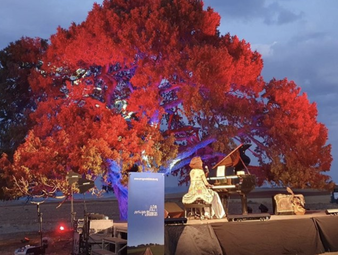 La sabina milenaria de Blancas (Teruel) competirá en 2022 para ser Árbol Europeo del Año. Foto: Europa Press