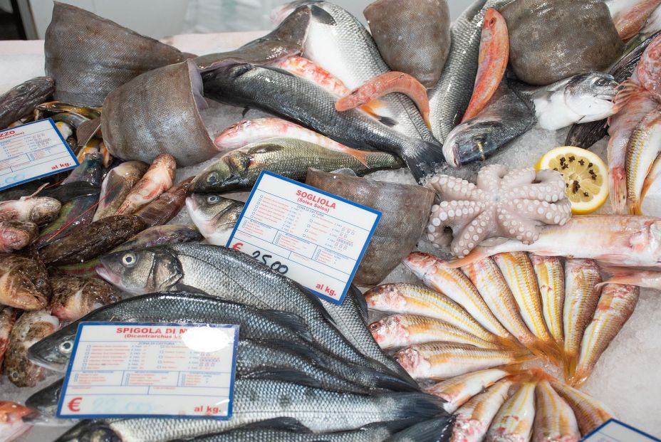 ¿Cuál es mejor el pescado blanco o el azul? Estas son sus diferencias