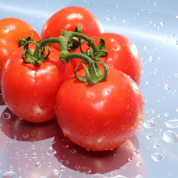 Tomate (bigstock)