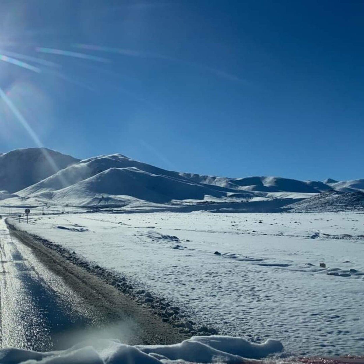 El desierto de Atacama se llena de flores tras una nevada histórica